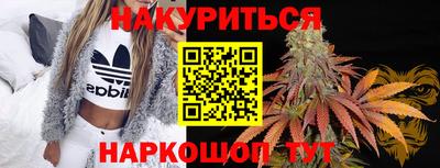 гашик Малгобек