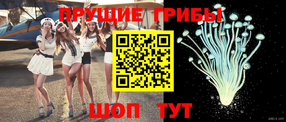 Кашира  Галлюциногенные грибы Psilocybe  Вход с VPN  Псилоцибиновые грибы прущие грибы 