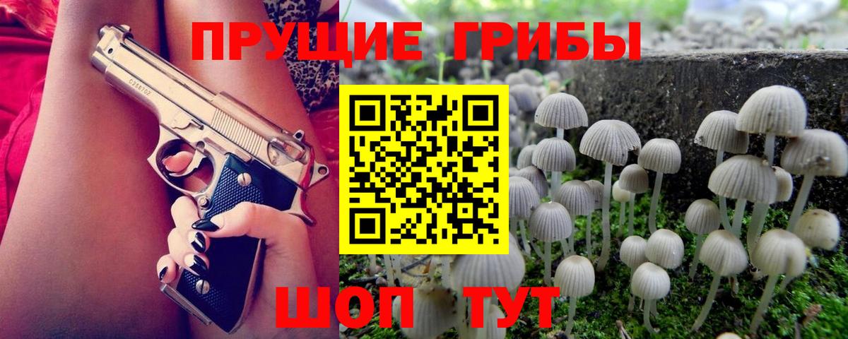 Галлюциногенные грибы Psilocybe Кашира